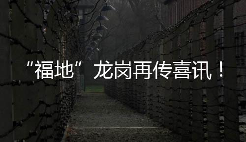 “福地”龙岗再传喜讯！深圳队拿下省运会冰雪项目首枚金牌