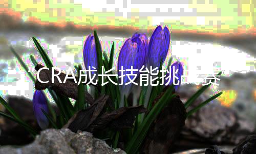 “CRA成长技能挑战赛”勇破逆境，主宰一方