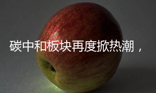碳中和板块再度掀热潮，前排龙头已4连板！
