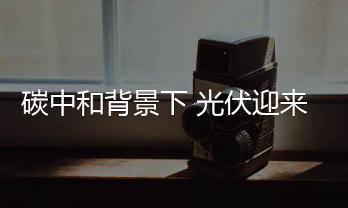 碳中和背景下 光伏迎来黄金期