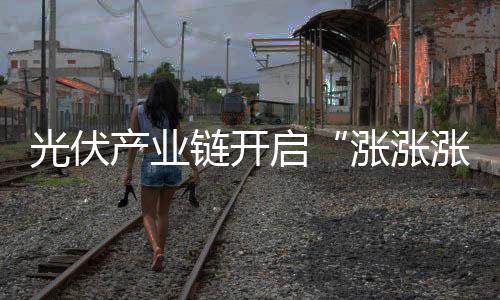 光伏产业链开启“涨涨涨”模式 下半年行业前景展望