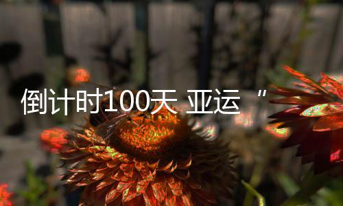 倒计时100天 亚运“四朝元老”361°以“为热爱 我先到场”开启亚运时间