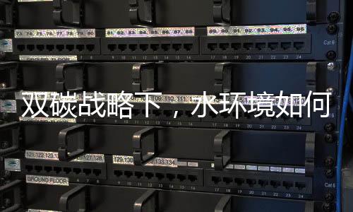 双碳战略下，水环境如何实现碳减排？