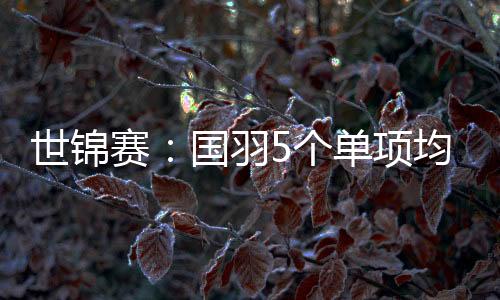 世锦赛：国羽5个单项均实现突围 斩获6张半决赛门票