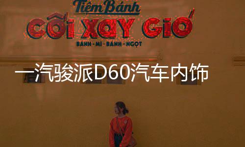 一汽骏派D60汽车内饰中控改装配件专用仪表台防晒隔热遮光避光垫