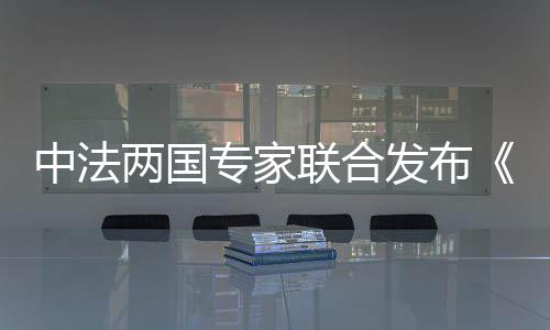 中法两国专家联合发布《晋祠建议书》