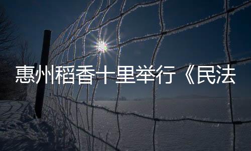 惠州稻香十里举行《民法典》宣讲活动