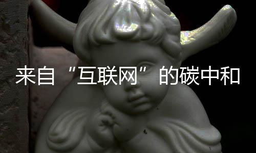来自“互联网”的碳中和需求，华为互联网数据中心筑起“绿色基石”
