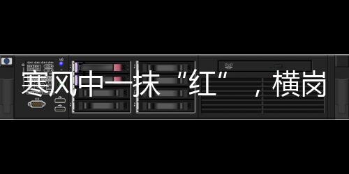 寒风中一抹“红”，横岗志愿者在行动！