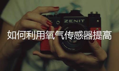 如何利用氧气传感器提高锅炉燃烧效率