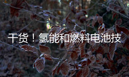 干货！氢能和燃料电池技术路线图