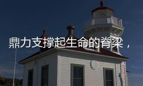 鼎力支撑起生命的脊梁，不求形式求本质